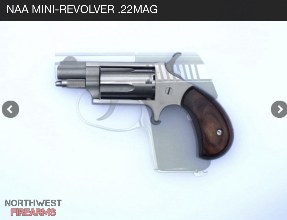 How Small is Too Small - The NAA Mini Revolver